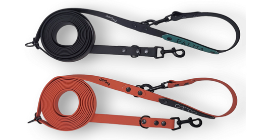 Correas multiposición de PVC personalizables: El complemento perfecto para tu perro con su nombre