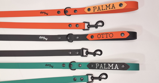 Material Biothane y PVC para perros: todo lo que necesitas saber