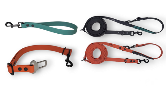 PVC PARA LOS ACCESORIOS DE TU PERRO