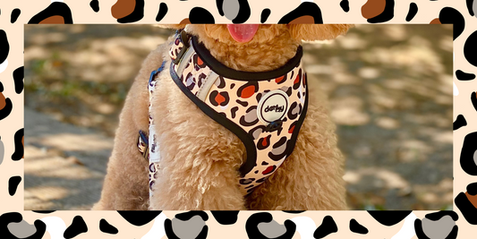 Arneses ajustables para perros con estampados únicos