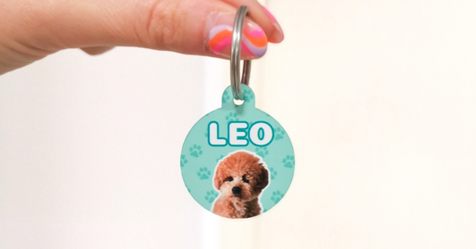 Chapas identificativas personalizadas con la cara de tu perro: la forma más divertida y práctica de mantenerlo seguro