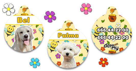 ¿Cómo puedo personalizar una chapa identificativa para mi perro?