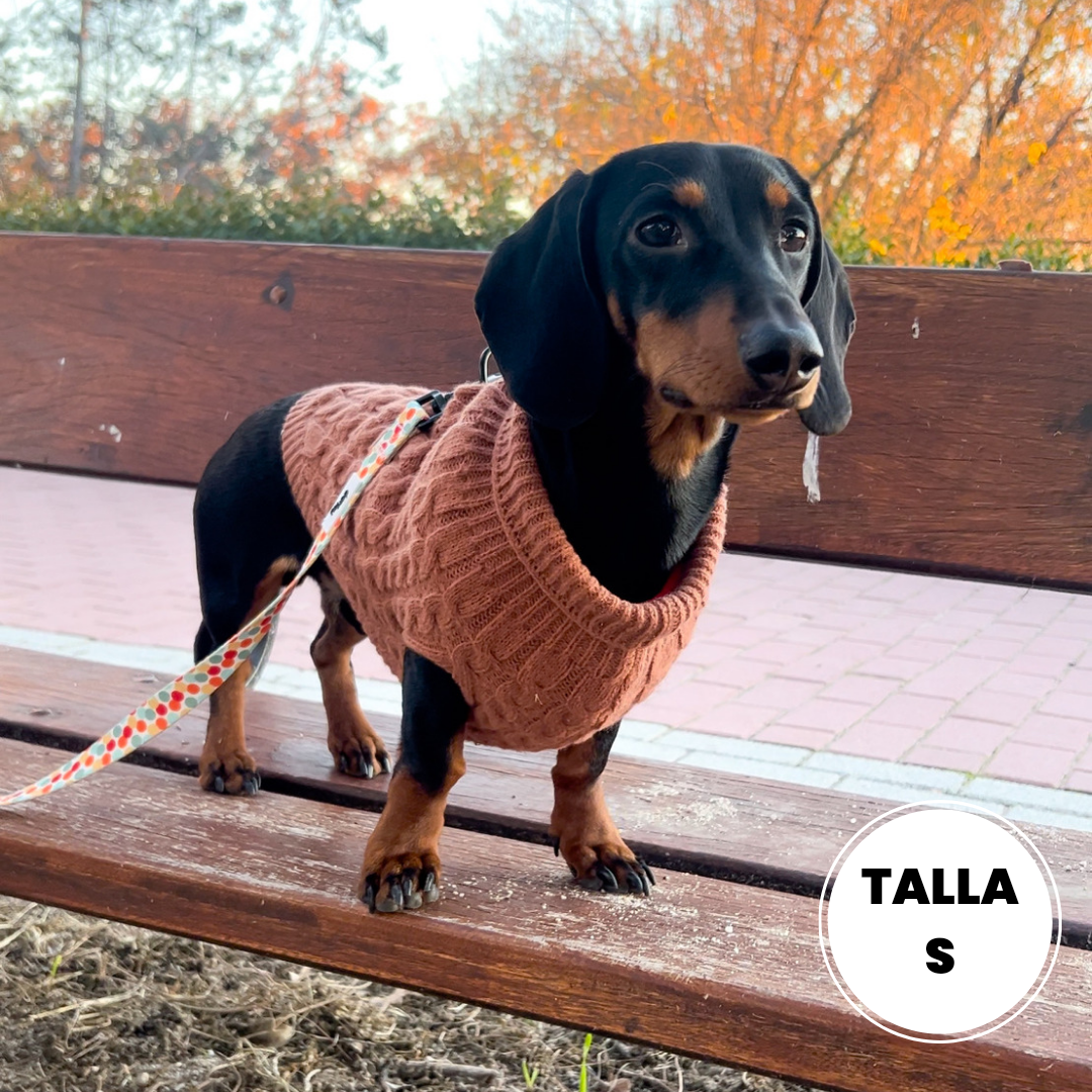 JERSEY MARRÓN PARA PERROS
