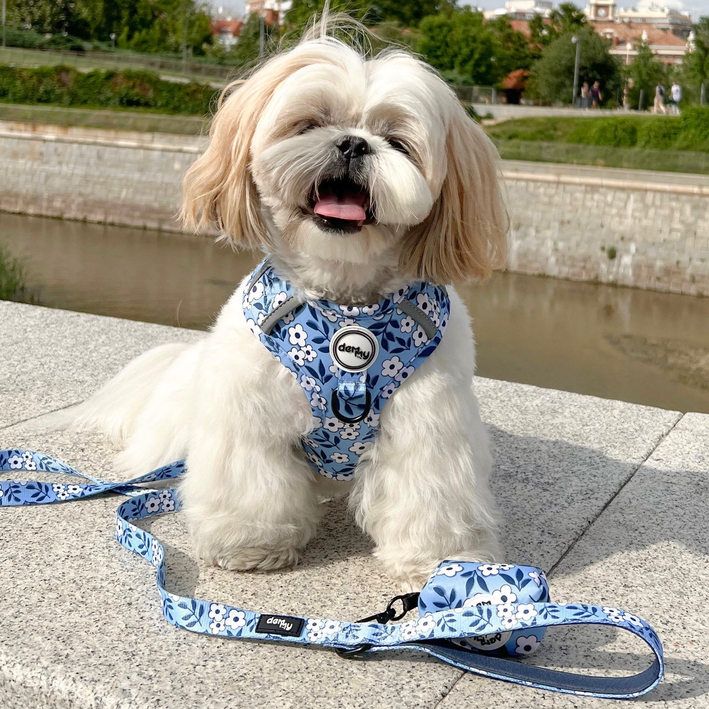 ADJUSTABLE HARNESS ECUADOR BLUE