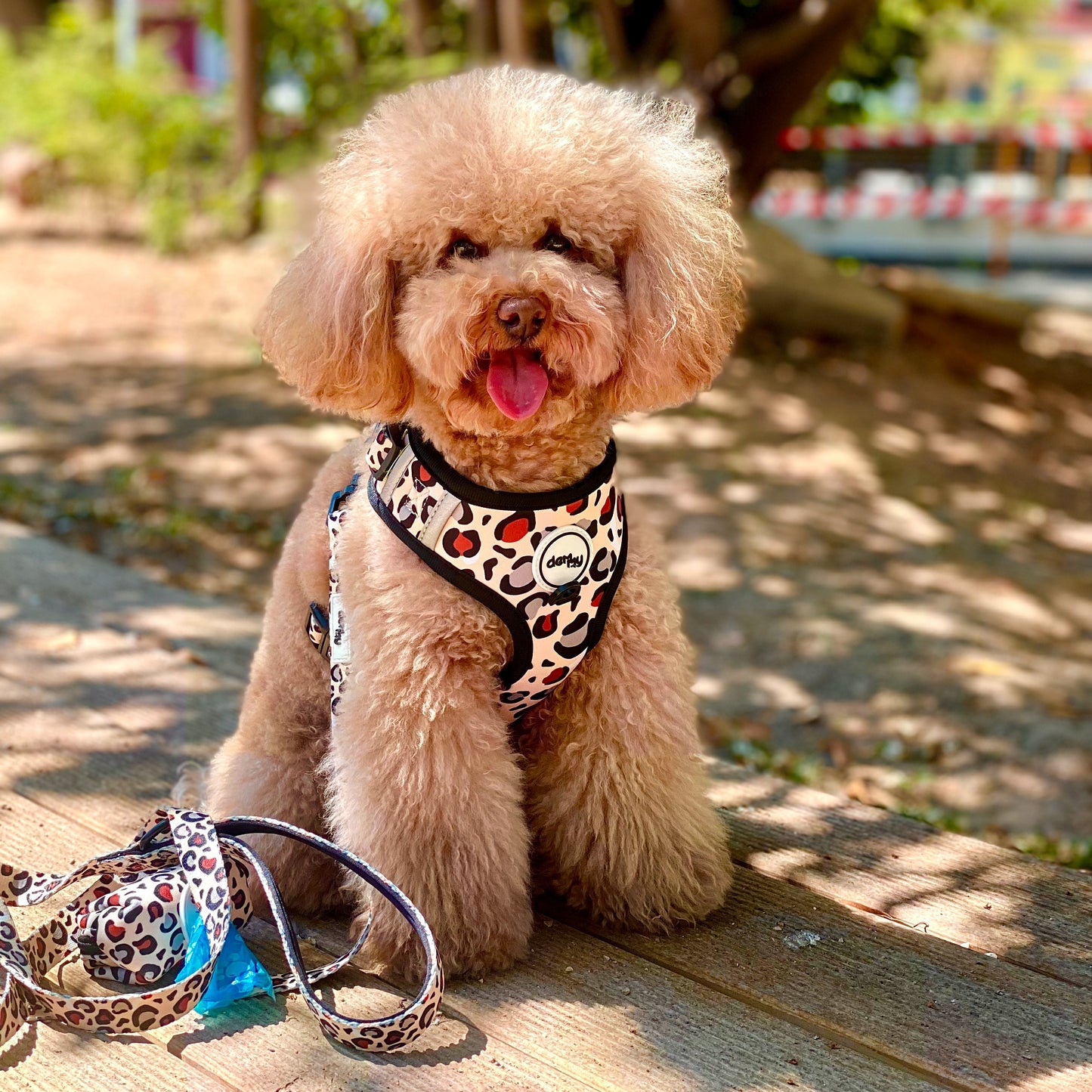 ADJUSTABLE HARNESS ECUADOR BLUE