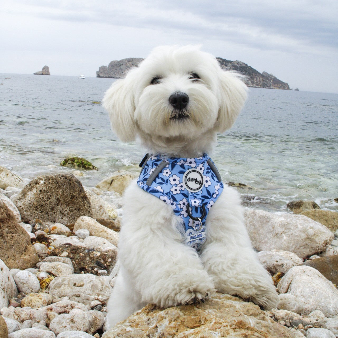 ADJUSTABLE HARNESS ECUADOR BLUE