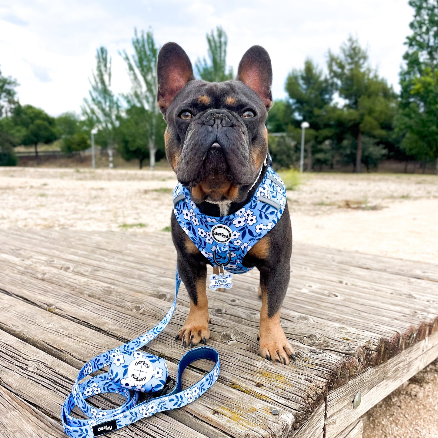 ADJUSTABLE HARNESS ECUADOR BLUE