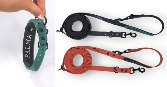 Los mejores accesorios para perros en verano: collares, correas y correas multiposición PVC personalizadas