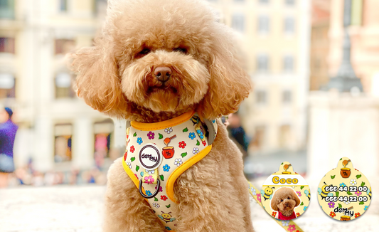Conjuntos de arnés, correa y portabolsas para perros: un accesorio imprescindible para viajes y paseos